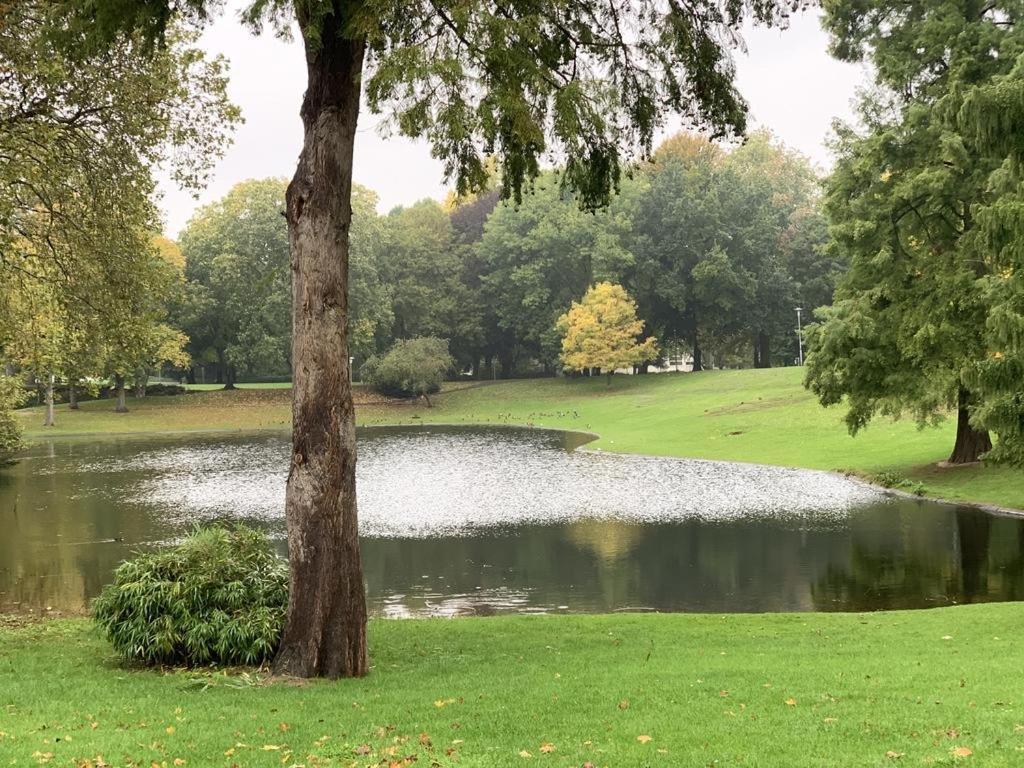 Moebliertes Wohnung Am Geroweiher Moenchengladbach Exteriör bild